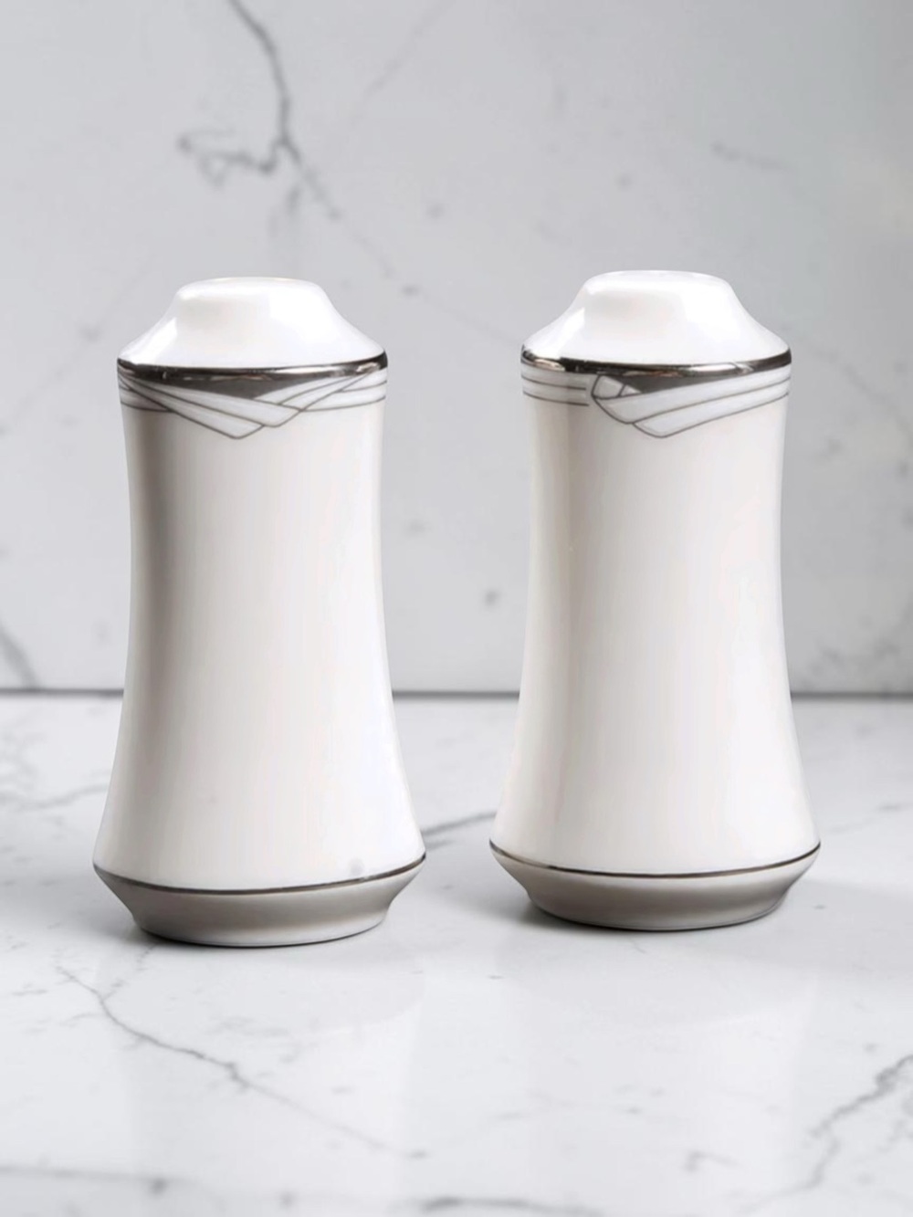 VINTAGE NORITAKE Sterling Cove Salt & Pepper Set Fine China Retired LIKE New